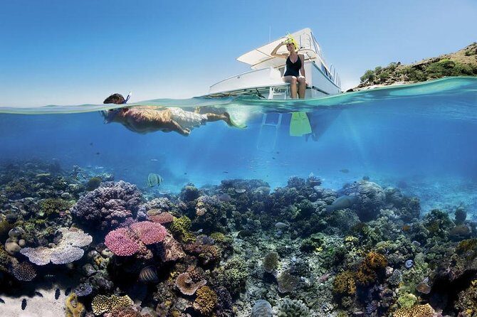 From Hurghada: Sharm El Naga Full-Day Snorkeling Tour - Authentic Reviews: What Travelers Say
