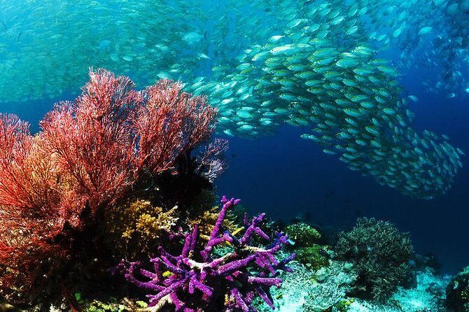 From Hurghada: Sharm El Naga Full-Day Snorkeling Tour - FAQ