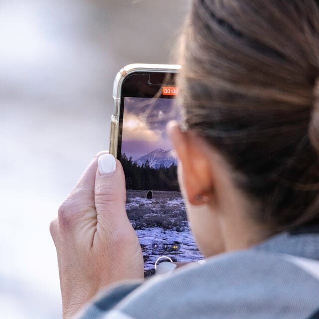From Jackson: Grand Teton Sunset and Sightseeing Tour - Exploring the Itinerary: What to Expect