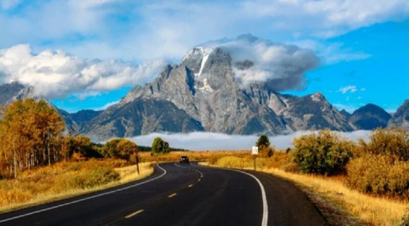 From Jackson: Grand Teton Wildlife & Scenery Tour with Lunch - Who Should Consider This Tour?