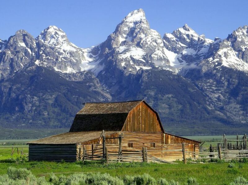 From Jackson: Half-Day Grand Teton National Park Tour - Key Points