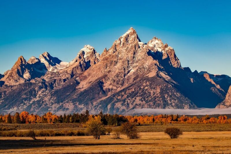 From Jackson: Half-Day Grand Teton National Park Tour - The Guide Experience: Knowledge, Enthusiasm, and Flexibility