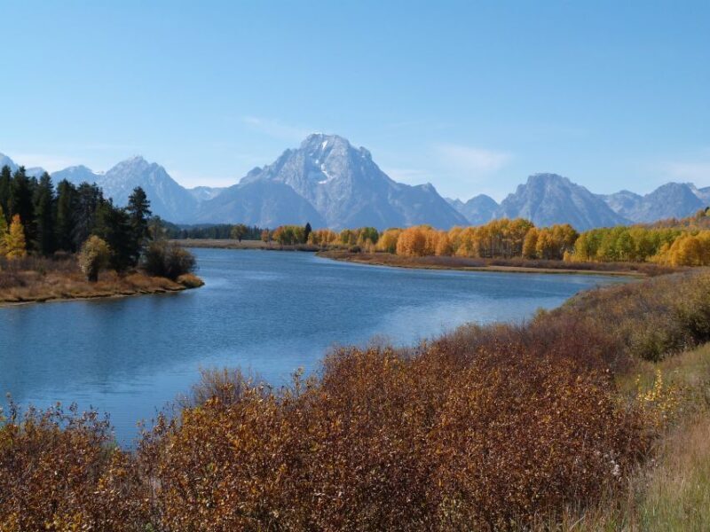 From Jackson: Half-Day Grand Teton National Park Tour - Authenticity and Overall Value