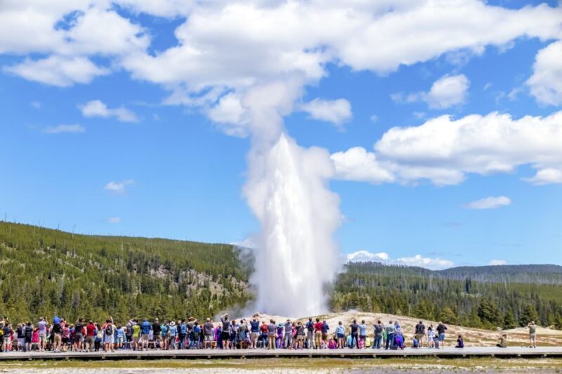 From Jackson: Yellowstone Day Tour Including Entrance Fee - A Complete Look at the Yellowstone Day Tour from Jackson