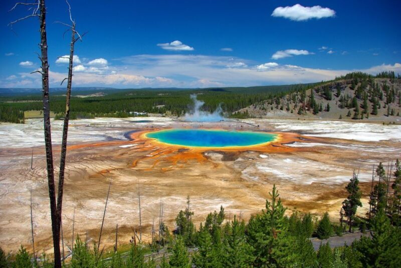 From Jackson: Yellowstone Day Tour Including Entrance Fee - Final thoughts