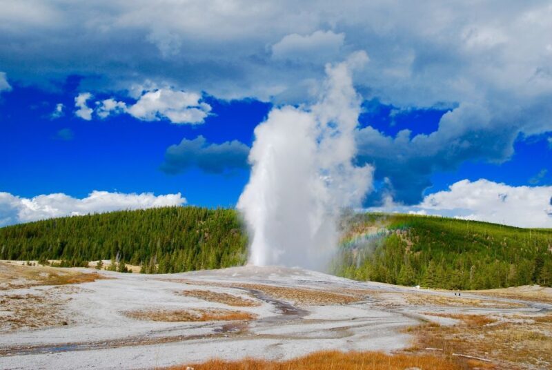 From Jackson: Yellowstone National Park Day Trip with Lunch - Key Points
