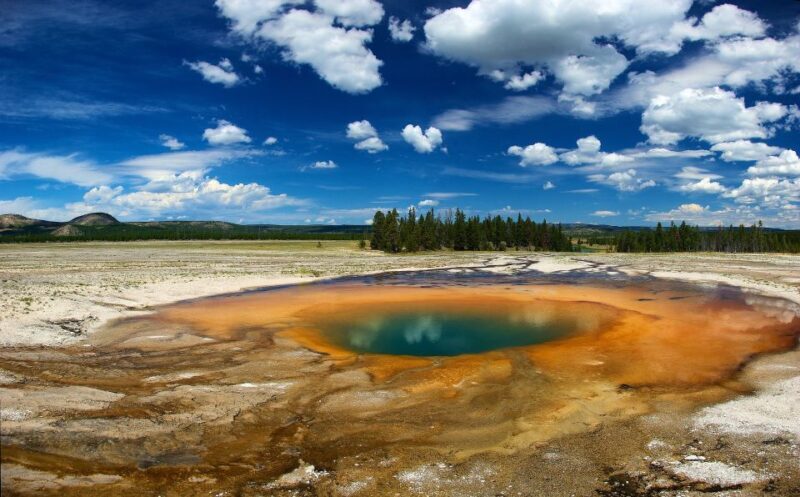 From Jackson: Yellowstone National Park Day Trip with Lunch - An Inside Look at the Yellowstone Day Trip