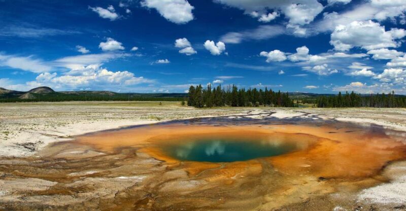 From Jackson: Yellowstone National Park Day Trip with Lunch - Authentic Experiences and Shared Moments