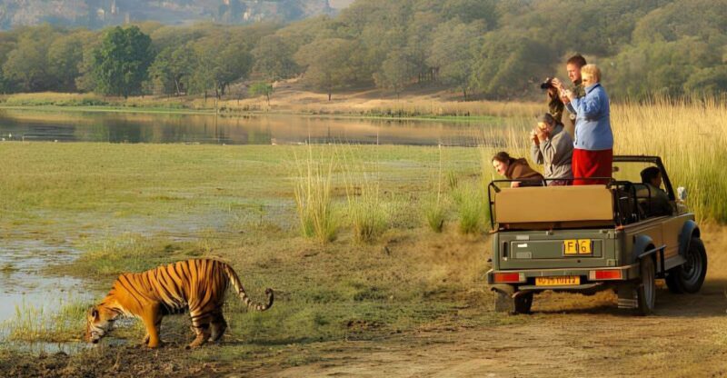 From Jaipur : 2 Days Ranthambore Tiger Safari Tour By Car - Who Should Consider This Tour?