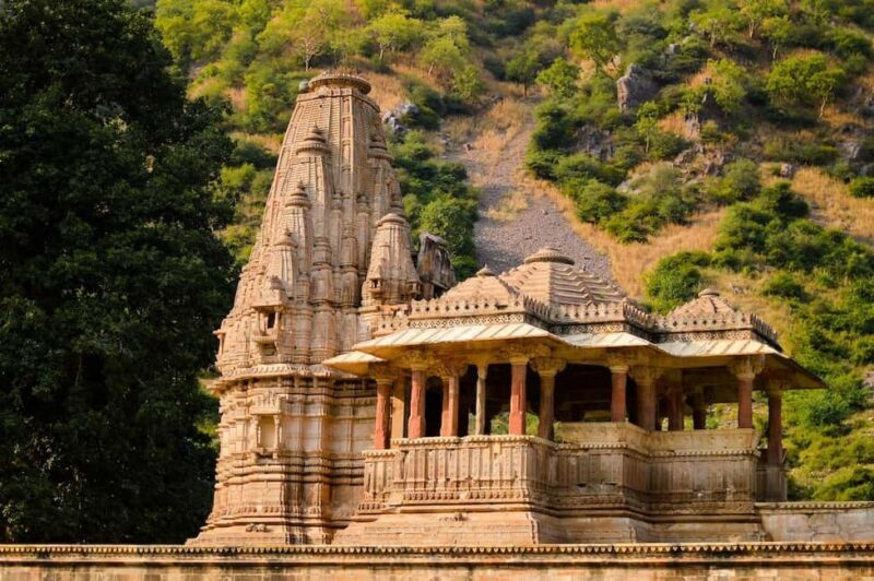From Jaipur: Abhaneri Stepwell & Bhangarh Fort Day Trip - Key Points