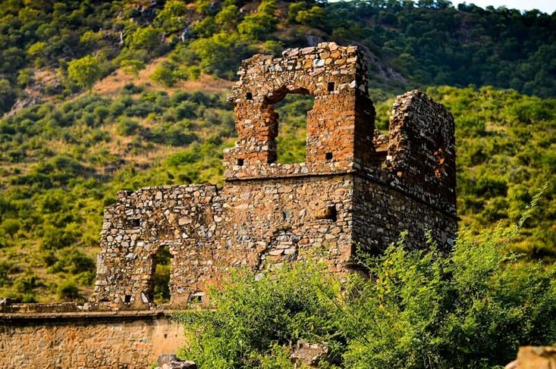 From Jaipur: Abhaneri Stepwell & Bhangarh Fort Day Trip - In-Depth Analysis of the Tour’s Value