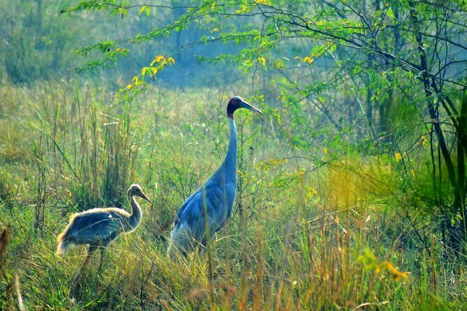 From Jaipur: Bird Safari and Agra sightseeing All-Inclusive - An In-Depth Look at the Tour Experience