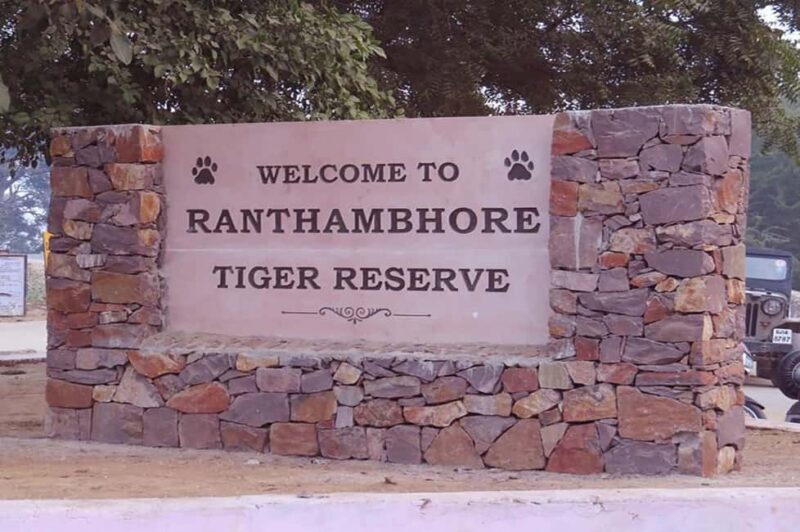 From Jaipur: Praivte Ranthambore Tour By Jeep Canter Safari - Introduction: What Makes This Ranthambore Safari Special?