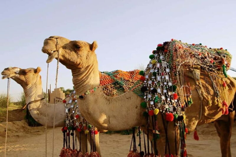 From Jaipur : Private Ajmer Pushkar Tour by Cab - Final Thoughts