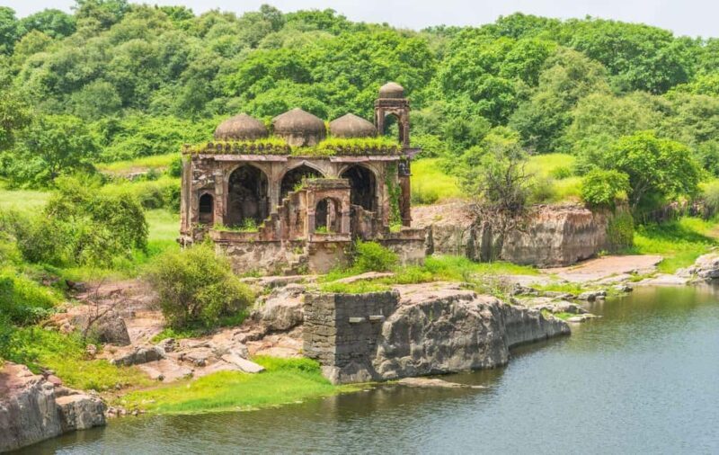 From Jaipur: Private Ranthambore Day Trip with Tiger Safari - Transport and Comfort