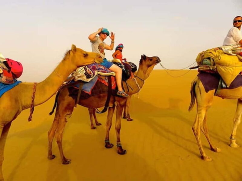 From Jaipur: Private Same Day Ajmer & Pushkar Day Trip - Key Points