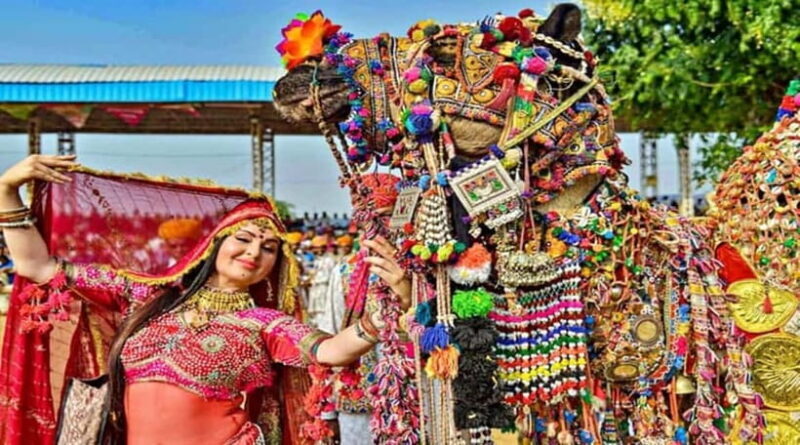 From Jaipur: Private Same Day Ajmer & Pushkar Day Trip - A Full Breakdown of the Tour Experience