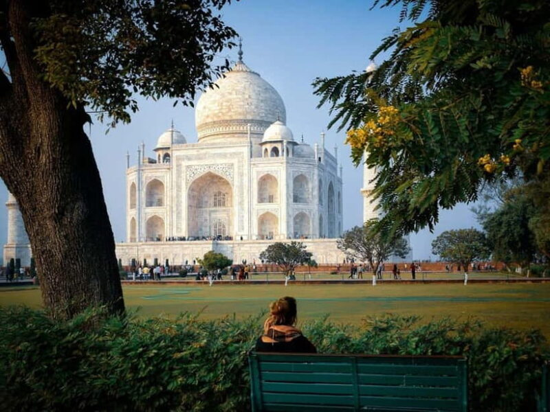 From Jaipur: Private Taj Mahal & Agra Day Trip with Transfer - Why Choose This Tour? An In-Depth Look