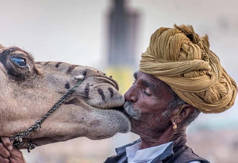 From Jaipur: Pushkar and Ajmer Private Day Trip - What to Expect from the Tour