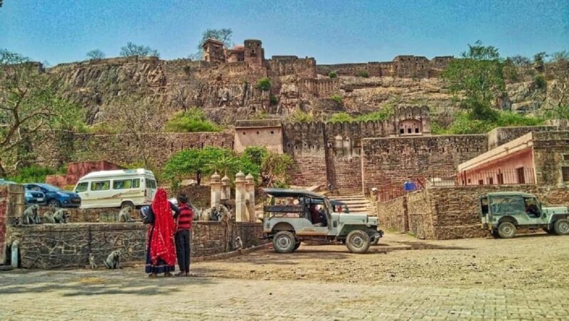 From Jaipur: Ranthambore National Park Day Trip with Safari - An In-Depth Look at the Tour