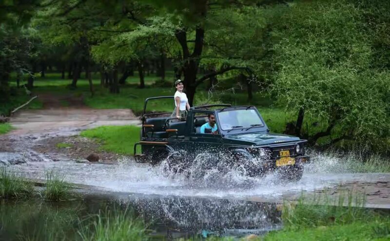 From Jaipur: Ranthambore National Park Safari with Transfers - FAQ