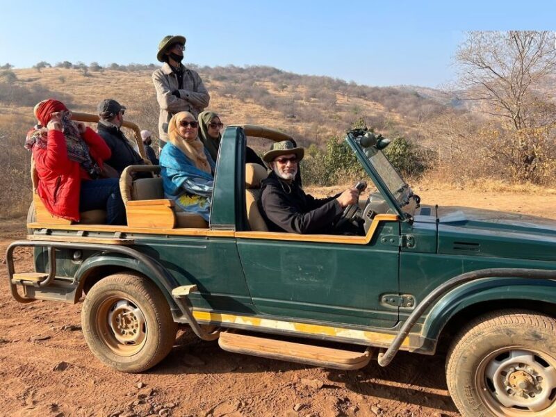 From Jaipur: Ranthambore Private Day Trip with Tiger Safari - An Overview of the Experience