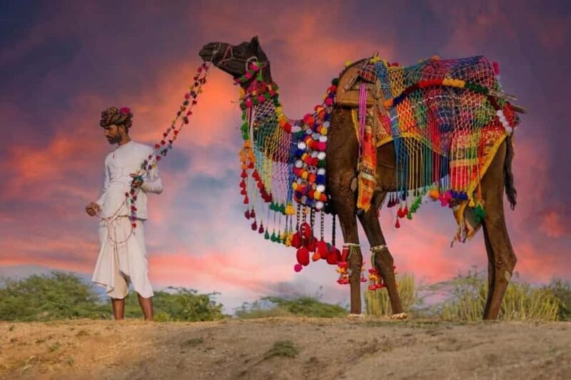From Jaipur : Same Day Pushkar & Ajmer Guided Day Tour - Key Points