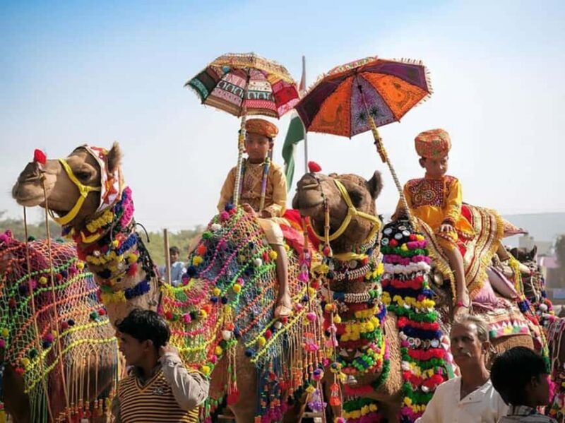 From Jaipur : Same Day Pushkar & Ajmer Guided Day Tour - FAQs