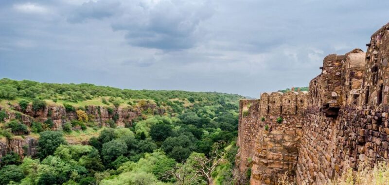From Jaipur: Same Day Ranthambore excursion - From Jaipur: Same Day Ranthambore Excursion — A Practical Guide for Wildlife Enthusiasts