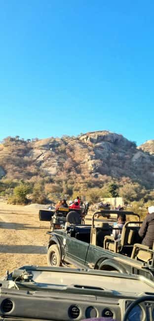 From Jaipur: Sariska National Park Day trip with Safari - Who Will Love This Tour?
