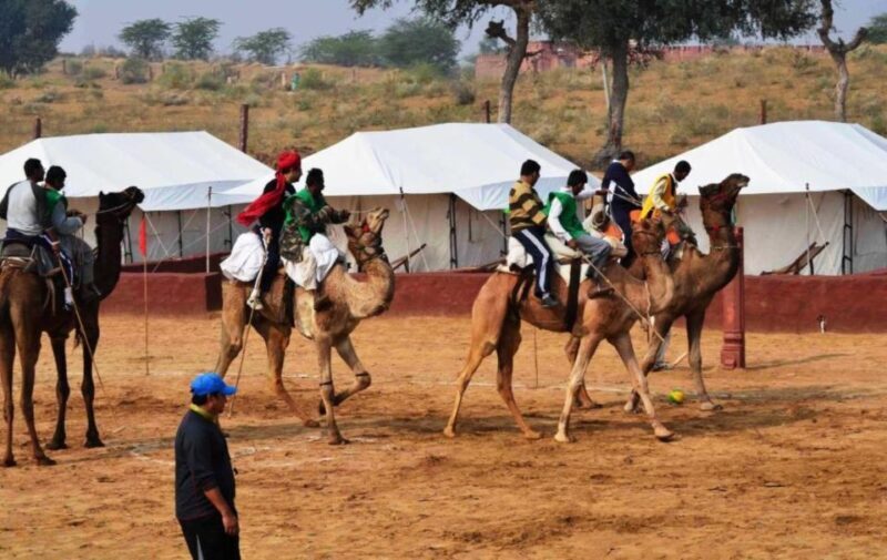From Jaisalmer: Private Trip Under Stars with Camel Safari - Exploring the Hidden Charm of the Thar Desert with a Private Camel Safari