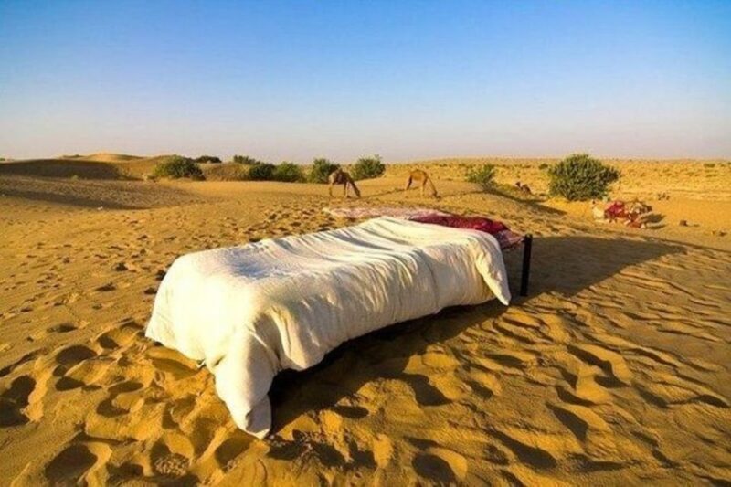 From Jaisalmer: Private Trip Under Stars with Camel Safari - Key Points