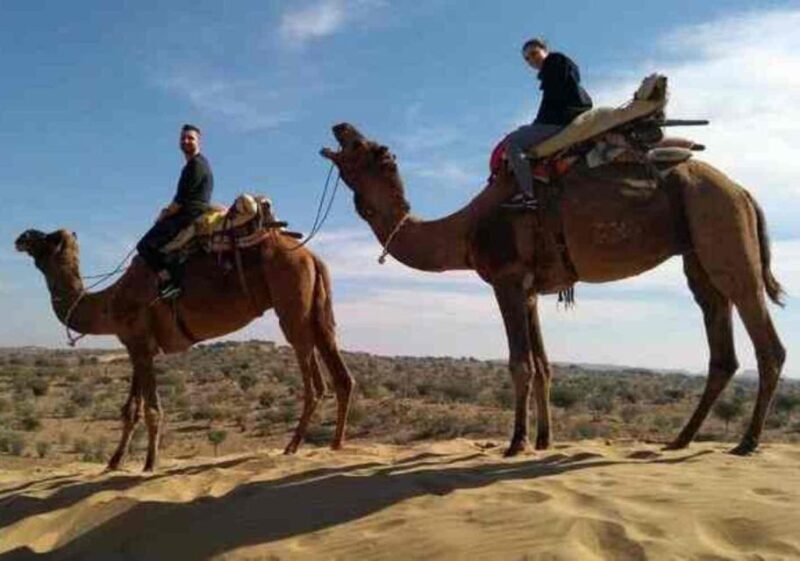 From Jaisalmer: Private Trip Under Stars with Camel Safari - Why This Tour Works Well