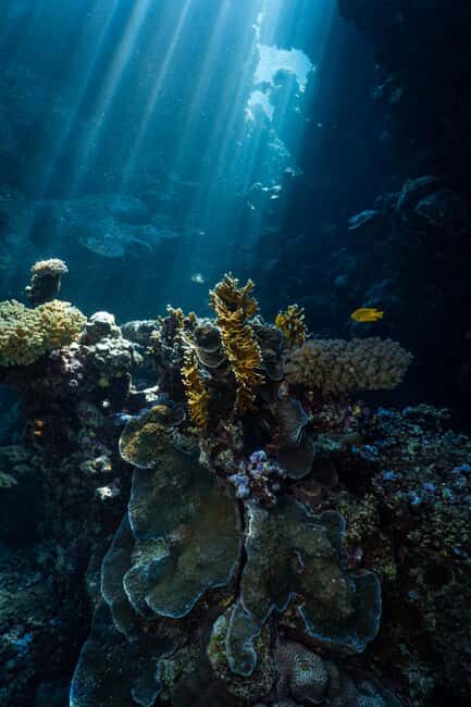 From Jeddah: Boat Trip and Diving for Certified Divers - Is This Tour Worth It?