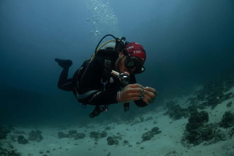 From Jeddah: Boat Trip and Diving for Certified Divers - Final Thoughts