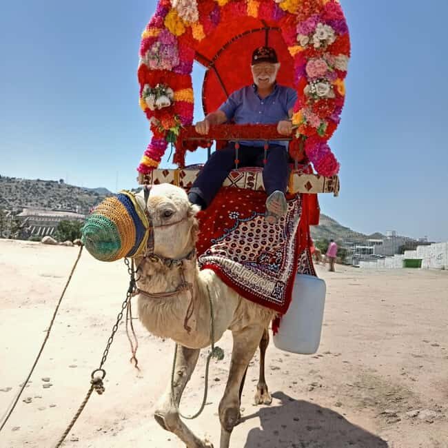 From Jeddah: Full-Day Tour To Taif - Introduction to the Taif Full-Day Tour