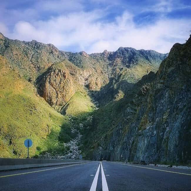 From Jeddah: Full-Day Tour To Taif - Who Is This Tour Best For?
