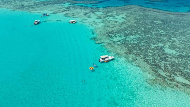 From Jeddah: Private Sea Trip to Bayadah Island - The Experience: A Detailed Look at the Trip