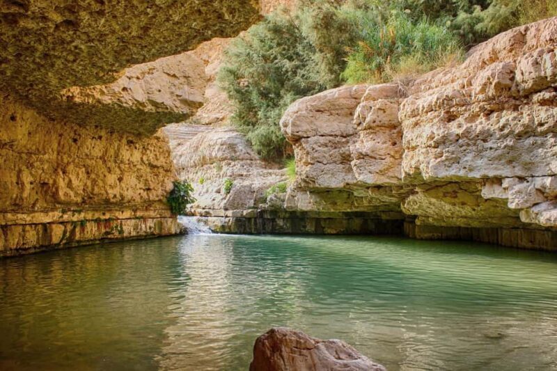 From Jerusalem: Masada, Ein Gedi, Dead Sea Guided Tour - Key Points