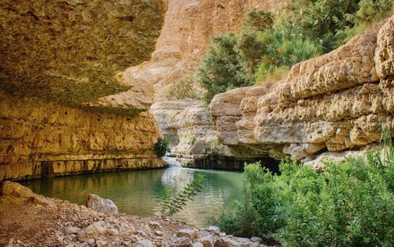 From Jerusalem: Masada Sunrise, Ein Gedi & Dead Sea Day Trip - What to Expect on This Tour