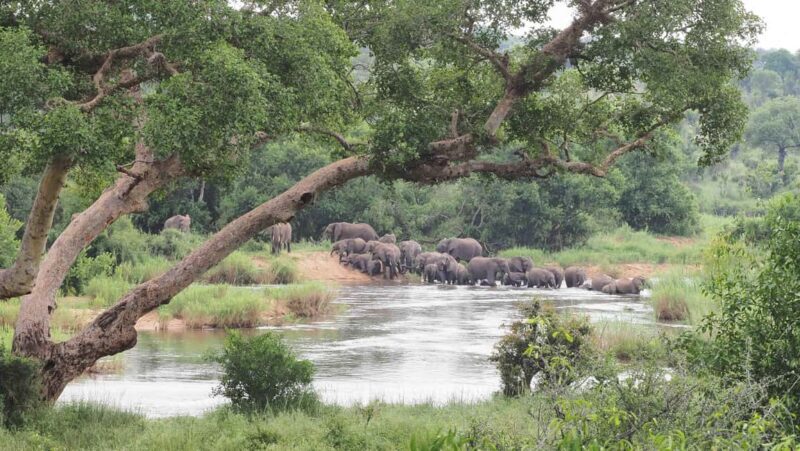 From Johannesburg: 2-Day Safari into Kruger National Park - FAQs