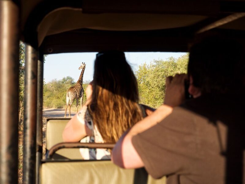 From Johannesburg: 3-Day Budget Tent Kruger Park Safari - Key Points