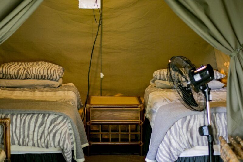 From Johannesburg: 3-Day Budget Tent Kruger Park Safari - Practical Details and Considerations