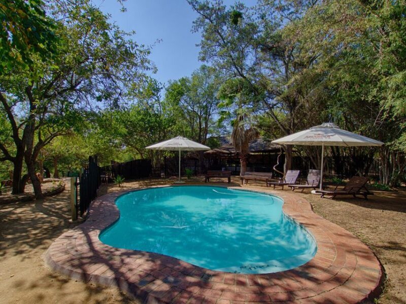 From Johannesburg: 3-Day Budget Tent Kruger Park Safari - Authentic Experiences and Traveler Feedback