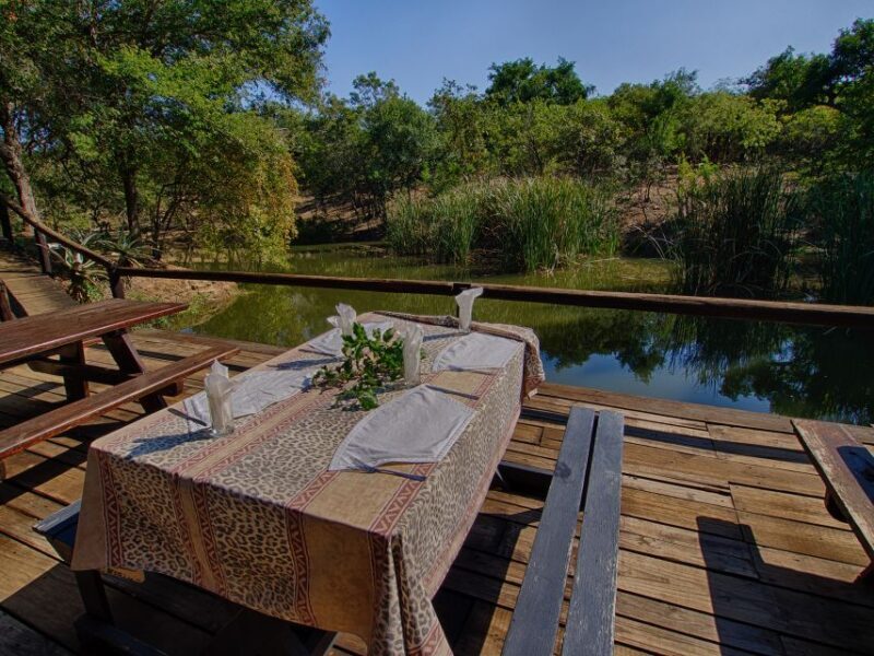From Johannesburg: 3-Day Budget Tent Kruger Park Safari - The Sum Up