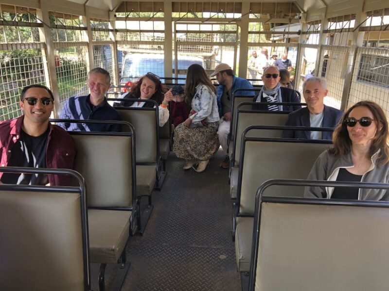 From Johannesburg: Cradle of Humankind and Lion Safari - Key Points