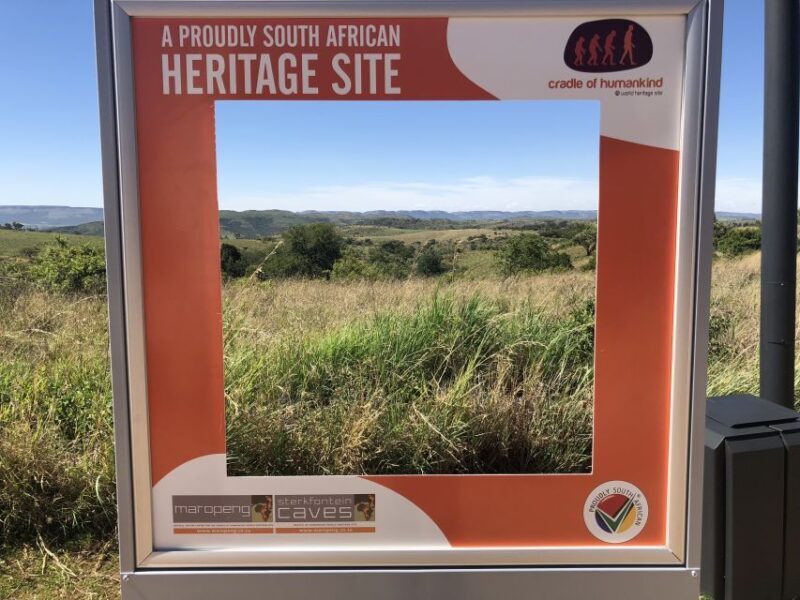From Johannesburg: Cradle of Humankind and Lion Safari - Final Thoughts