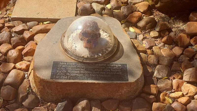 From Johannesburg: Cradle of Humankind Private Half-Day Tour - Key Points