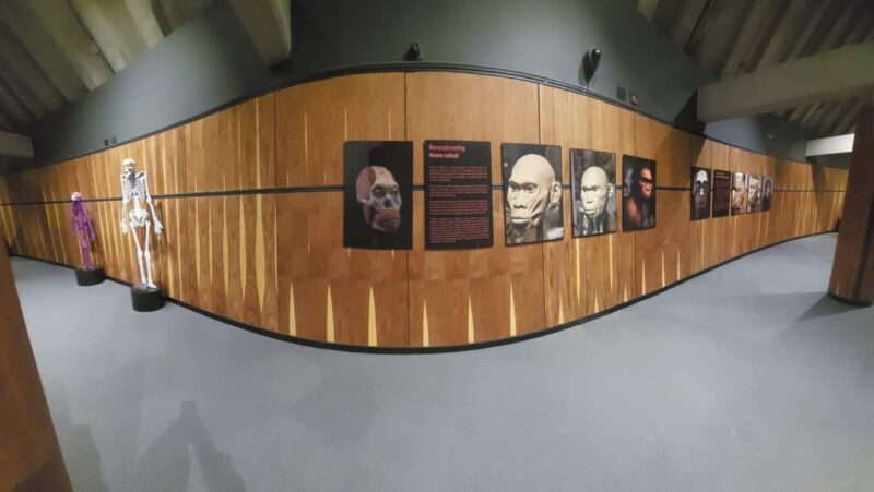 From Johannesburg: Cradle of Humankind Private Half-Day Tour - Final Thoughts: Is This Tour for You?