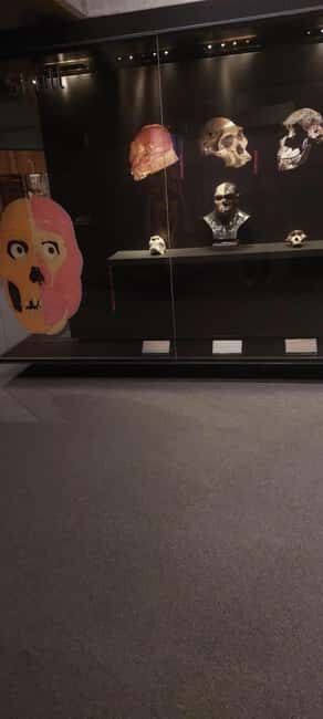 From Johannesburg: Cradle of Humankind Private Half-Day Tour - FAQs